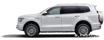 坦克500 Hi4-Z中大型豪华电混SUV